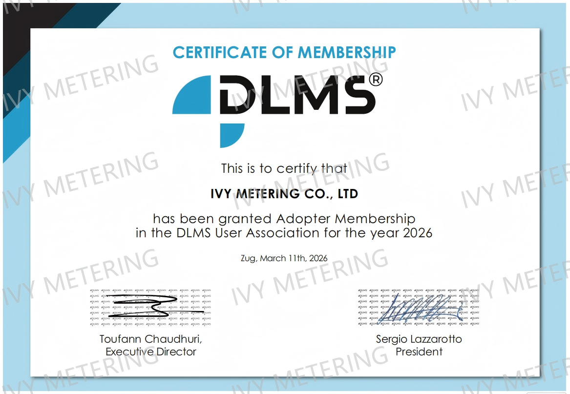 What is DLMS meter?