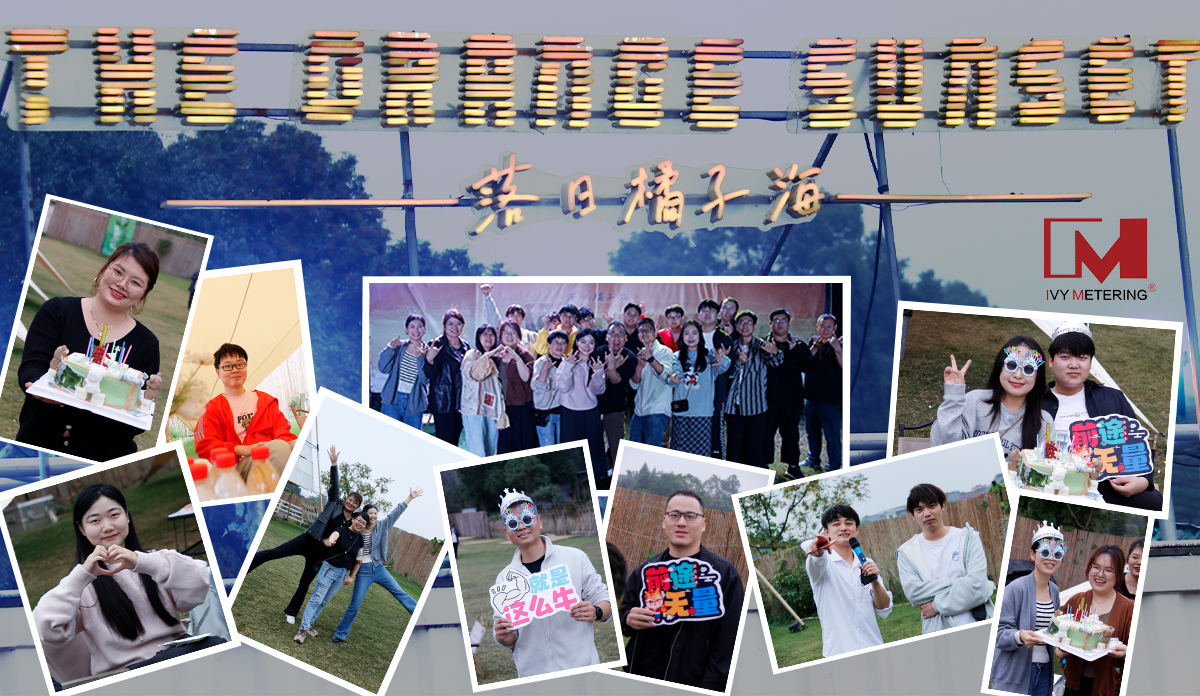 IVY Metering's birthday in November 2024